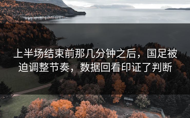 上半场结束前那几分钟之后，国足被迫调整节奏，数据回看印证了判断